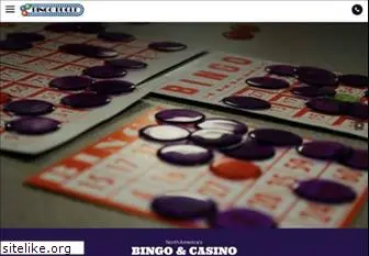 bingo4fun.com