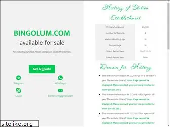 bingolum.com