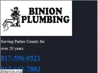 binionplumbing.com