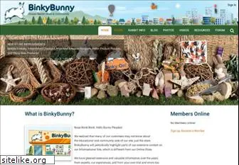 binkybunny.com