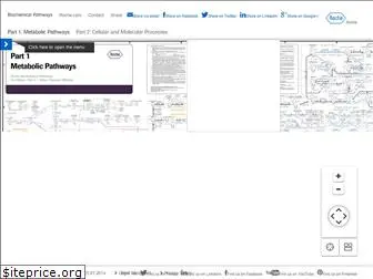 biochemical-pathways.com