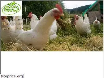 biochicken.com