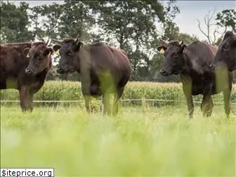 biologischwagyuvleeskopen.nl