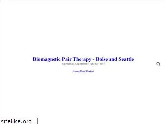 biomagneticpairboise.com