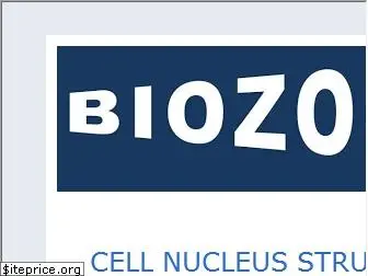 biozoomer.com