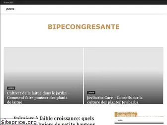 bipecongresante.com