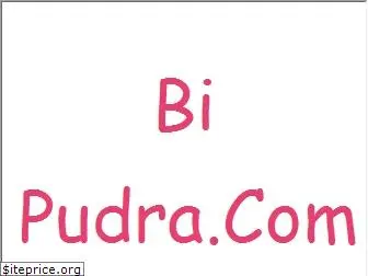 bipudra.com