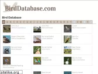 birddatabase.com