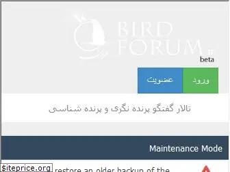 birdforum.ir