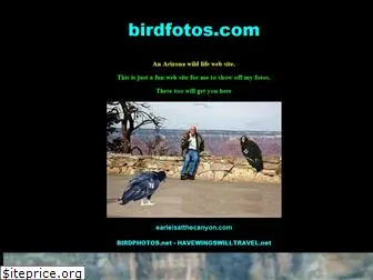 birdfotos.com