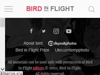 birdinflight.com