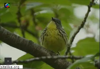 birding.com