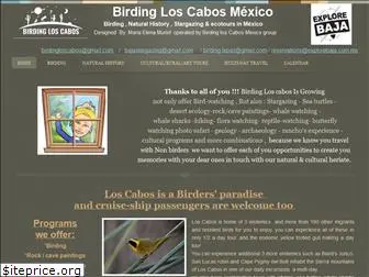 birdingloscabos.com