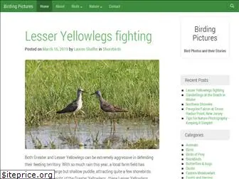 birdingpictures.com