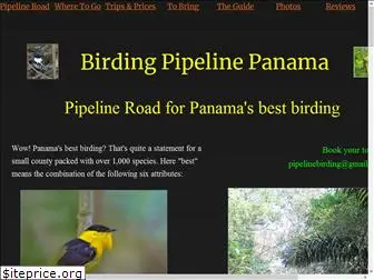 birdingpipelinepanama.com