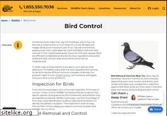birdpatrol.com