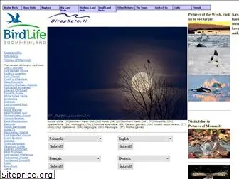 birdphoto.fi