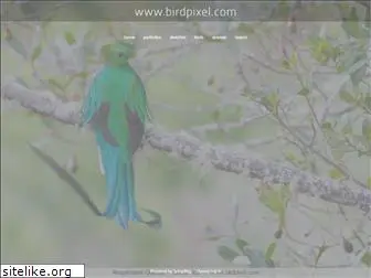 birdpixel.com