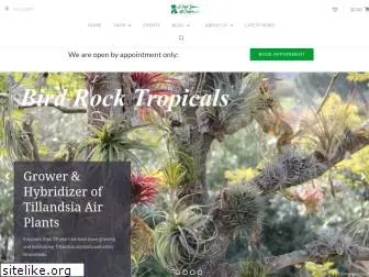 birdrocktropicals.com