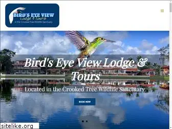 birdseyeviewbelize.com