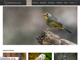 birdsfact.com