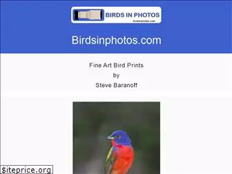 birdsinphotos.com