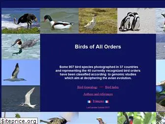 birdsofallorders.com