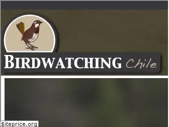 birdwatchingchile.com