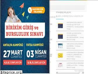 birikimhayat.com