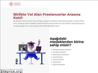 birlikteihracat.com