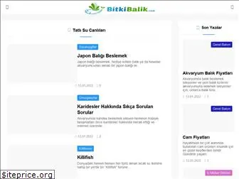 bitkibalik.com