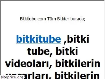 bitkitube.com