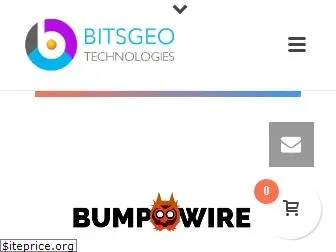 bitsgeo.com