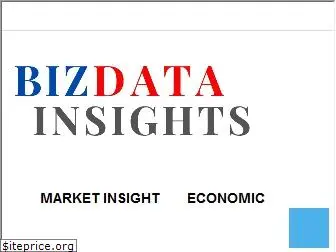 bizdatainsight.com