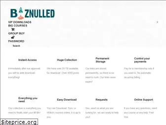 biznulled.com