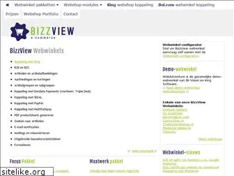 bizzview.com