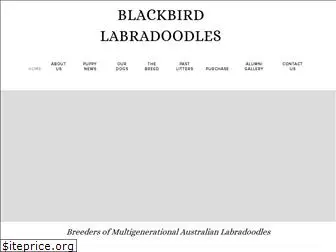blackbirdlabradoodles.com