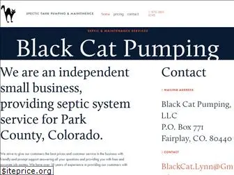 blackcatpumping.com