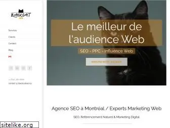 blackcatseo.ca