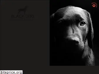 blackdog-consultants.com