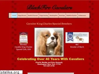 blackfirecavaliers.com