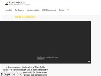 blackgold-group.com