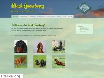 blackgooseberry.com