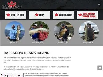 blackisland.com