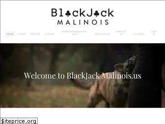 blackjackmalinois.us