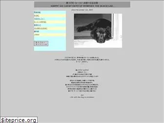 blacklab-morphee.com