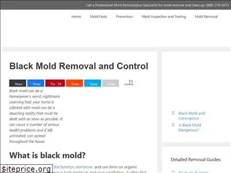 blackmoldcontrol.com