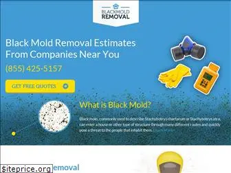 blackmoldremoval.com