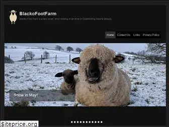 blackofoot.farm