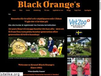 blackoranges.se